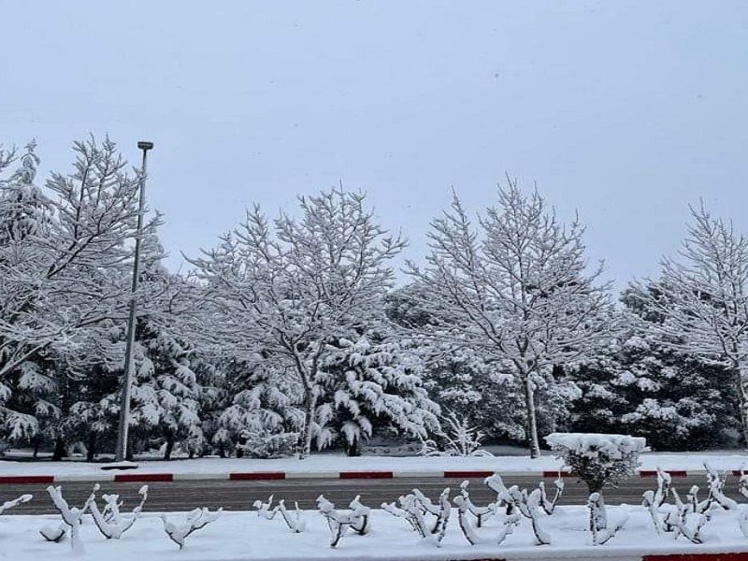 Chutes de neige dans la ville d’Ifrane