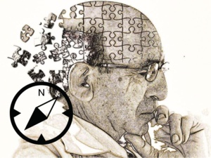 Alzheimer : un nouveau symptôme visible 25 ans avant la perte de mémoire			