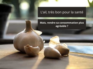 L'ail super aliment mais comment rendre sa consommation d'ail plus agréable L'ail super aliment mais comment rendre sa consommation d'ail plus agréable