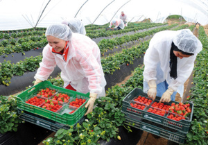 Un avertissement grave , une alerte sérieuse !