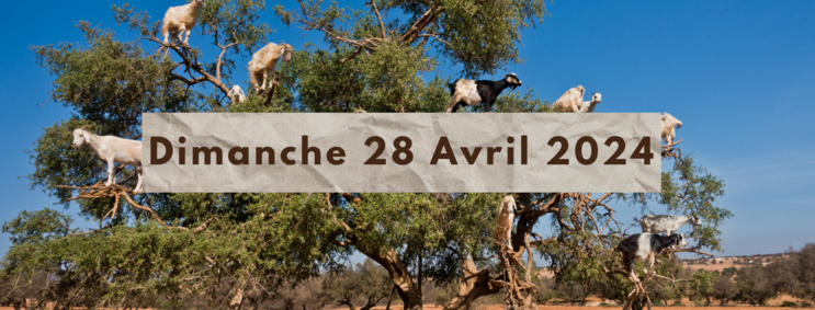 Grille de la semaine Web TV "Eco & Eco" de L'ODJ Média Grille de la semaine Web TV "Eco & Eco" de L'ODJ Média