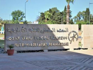 Appel à candidatures : Le Prix National de la Culture Amazighe 2023 ouvert par l'IRCAM