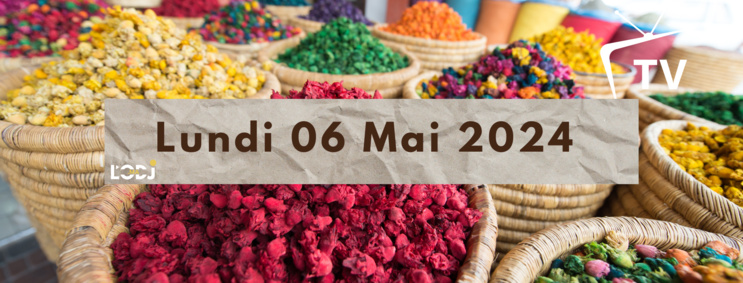 Grille de la semaine Web TV "Eco & Eco" de L'ODJ Média Grille de la semaine Web TV "Eco & Eco" de L'ODJ Média