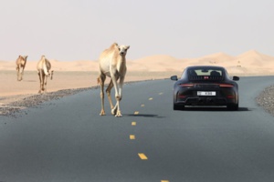 ​Porsche réinvente la légende : La 911 embrasse l'hybride !