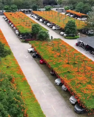 Des jardins sur les toits des parkings publics