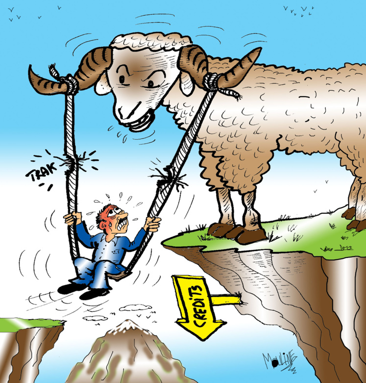 Réalisée par Mohammed Yassir Mouline