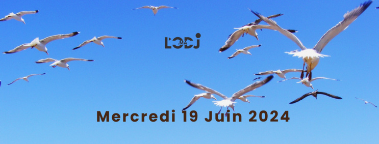 Grille de la semaine Web TV "Eco & Eco" de L'ODJ Média Grille de la semaine Web TV "Eco & Eco" de L'ODJ Média