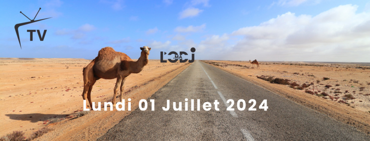 Grille de la semaine Web TV "Eco & Eco" de L'ODJ Média Grille de la semaine Web TV "Eco & Eco" de L'ODJ Média