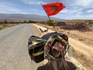 Mouad Taoussi, le mec à l’ânesse… Mouad Taoussi, le mec à l’ânesse…