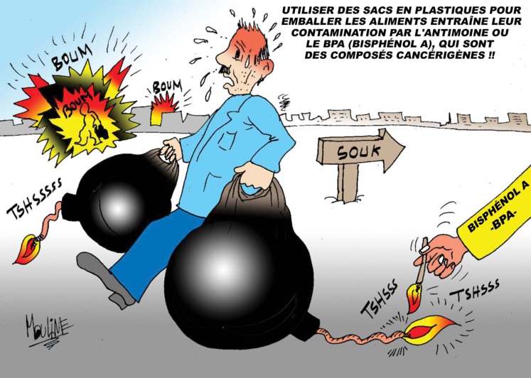 Réalisée par Mohammed Yassir Mouline