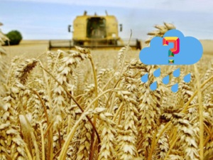 Un état des lieux alarmant la saison agricole 2024-2025 Un état des lieux alarmant la saison agricole 2024-2025