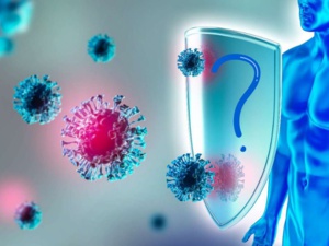 Les Novid : Les Mystérieux Immunisés Contre la Covid-19