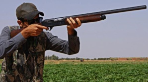 L'ANEF digitalise les activités de chasse au Maroc L'ANEF digitalise les activités de chasse au Maroc