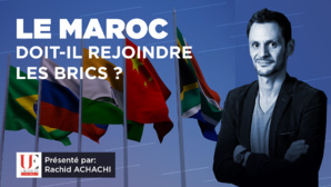 Les BRICS+ : Une alliance de matières premières ou Club économique ? Les BRICS+ : Une alliance de matières premières ou Club économique ?