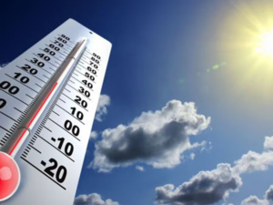 Canicule au Maroc :Températures records et défis climatiques Canicule au Maroc :Températures records et défis climatiques