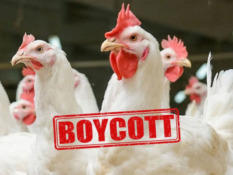 Crise de volaille : Appel au boycott pour changer la donne ! Crise de volaille : Appel au boycott pour changer la donne !