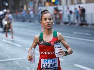 La Gazelle du Sahara aux enjambées dorées La Gazelle du Sahara aux enjambées dorées