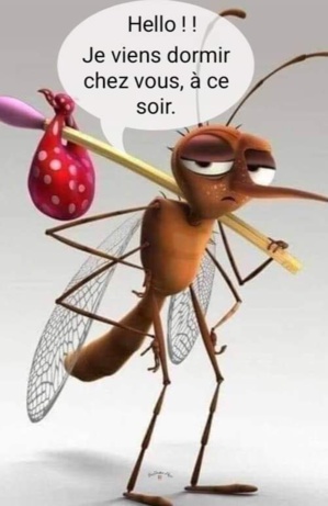 Les Moustiques antropophobes et homophobes de la Costa Les Moustiques antropophobes et homophobes de la Costa