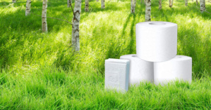L’astuce au papier toilette pour réparer un gazon abîmé L’astuce au papier toilette pour réparer un gazon abîmé