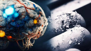 Les microplastiques envahissent le cerveau : une révélation alarmante Les microplastiques envahissent le cerveau : une révélation alarmante