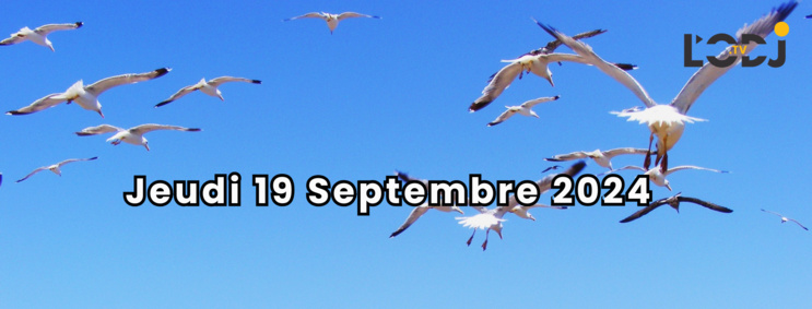 Grille de la semaine de la Web TV "Eco & Eco" de L'ODJ Média. Grille de la semaine de la Web TV "Eco & Eco" de L'ODJ Média.