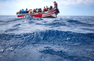 Arrestations massives pour incitation à l'immigration illégale à travers les réseaux sociaux