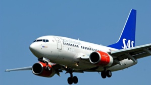 Un vol Oslo-Malaga fait demi-tour à cause d'une souris à bord Un vol Oslo-Malaga fait demi-tour à cause d'une souris à bord