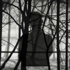 Orphelin des silences Orphelin des silences