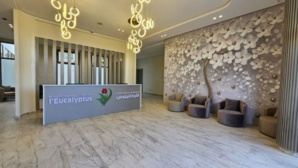 L’Eucalyptus : un an d’engagement pour la santé mentale au travail L’Eucalyptus : un an d’engagement pour la santé mentale au travail