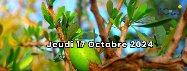 Grille de la semaine de la Web TV "Eco & Eco" de L'ODJ Média. Grille de la semaine de la Web TV "Eco & Eco" de L'ODJ Média.