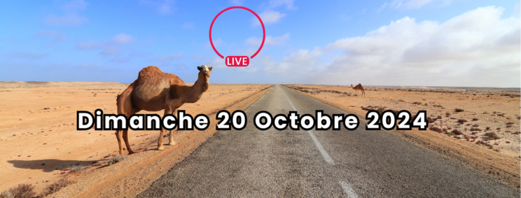 Grille de la semaine de la Web TV "Eco & Eco" de L'ODJ Média. Grille de la semaine de la Web TV "Eco & Eco" de L'ODJ Média.