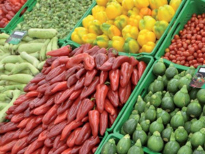 Le Maroc, champion des exportations : 698 millions d'euros de fruits et légumes vers l'Espagne Le Maroc, champion des exportations : 698 millions d'euros de fruits et légumes vers l'Espagne