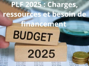 PLF 2025 : Charges, ressources et besoin de financement PLF 2025 : Charges, ressources et besoin de financement