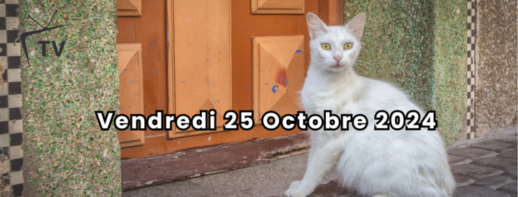 Grille de la semaine de la Web TV "Eco & Eco" de L'ODJ Média. Grille de la semaine de la Web TV "Eco & Eco" de L'ODJ Média.