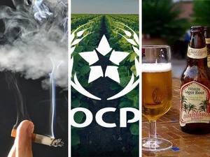 Quand les recettes fiscales liées aux fumeurs et buveurs dépassent l’apport de l’OCP