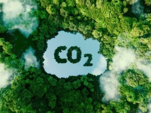 COP29 : L’intérêt du Maroc pour les marchés du carbone COP29 : L’intérêt du Maroc pour les marchés du carbone