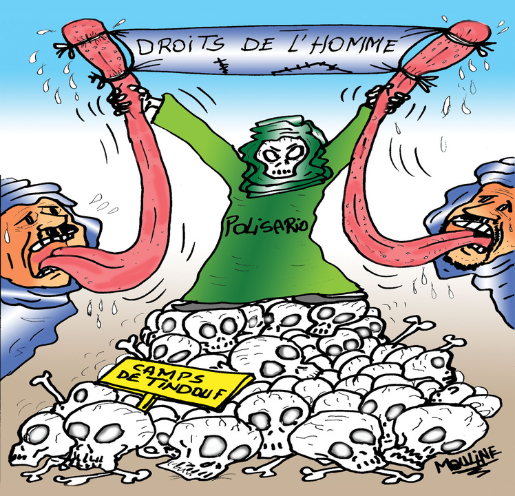 Réalisée par Mohammed Yassir Mouline Réalisée par Mohammed Yassir Mouline