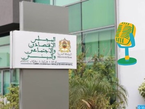 Podcast : Débat sur l'avis du CESE sur L'AMO Podcast : Débat sur l'avis du CESE sur L'AMO