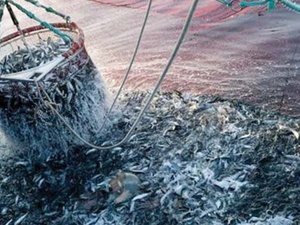 Quand l'Europe cède la place à la Chine et à la Russie dans les eaux marocaines Quand l'Europe cède la place à la Chine et à la Russie dans les eaux marocaines