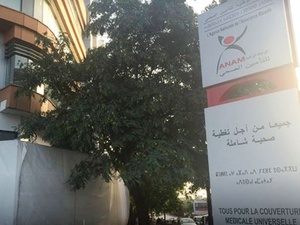 Protocoles thérapeutiques au Maroc entre efficience et délais de validation