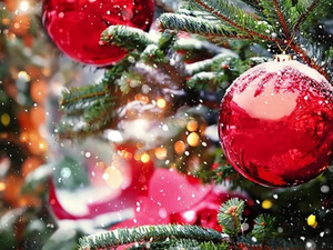 Noël en lumière : des célébrations chrétiennes plus ouvertes au Maroc Noël en lumière : des célébrations chrétiennes plus ouvertes au Maroc