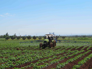 Investissement record dans l’agriculture marocaine Investissement record dans l’agriculture marocaine