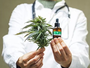 Plus de 4.000 tonnes de cannabis légal produites en 2024 Plus de 4.000 tonnes de cannabis légal produites en 2024