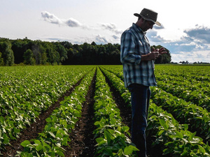 Une levée de fonds historique pour le Crédit Agricole du Maroc Une levée de fonds historique pour le Crédit Agricole du Maroc