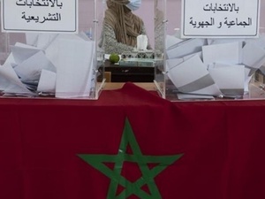 La démocratie asthmatique La démocratie asthmatique