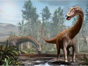 Le jurassique débarque dans l'Atlas marocain Le jurassique débarque dans l'Atlas marocain