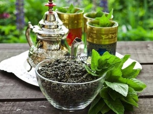 Le thé vert : un allié prometteur pour préserver le cerveau des seniors Le thé vert : un allié prometteur pour préserver le cerveau des seniors