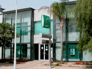 Finance durable : la BMCI s’engage pour un avenir plus vert