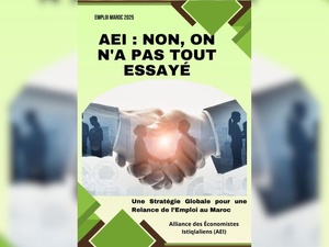 ​AEI : non on n'a pas tout essayé : Une stratégie globale pour une relance de l’emploi au Maroc