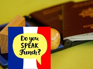 Parlez français ou faites vos valises ! Parlez français ou faites vos valises !